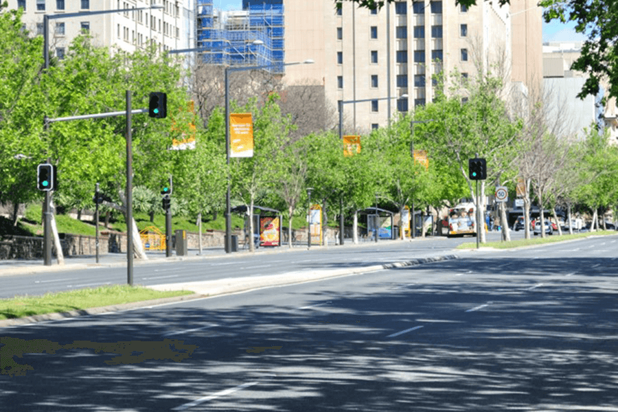An empty road in Adelaide with many trees lining it