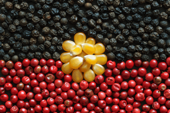 The Aboriginal flag made out of black peppercorns, yellow corn kernels and red berries