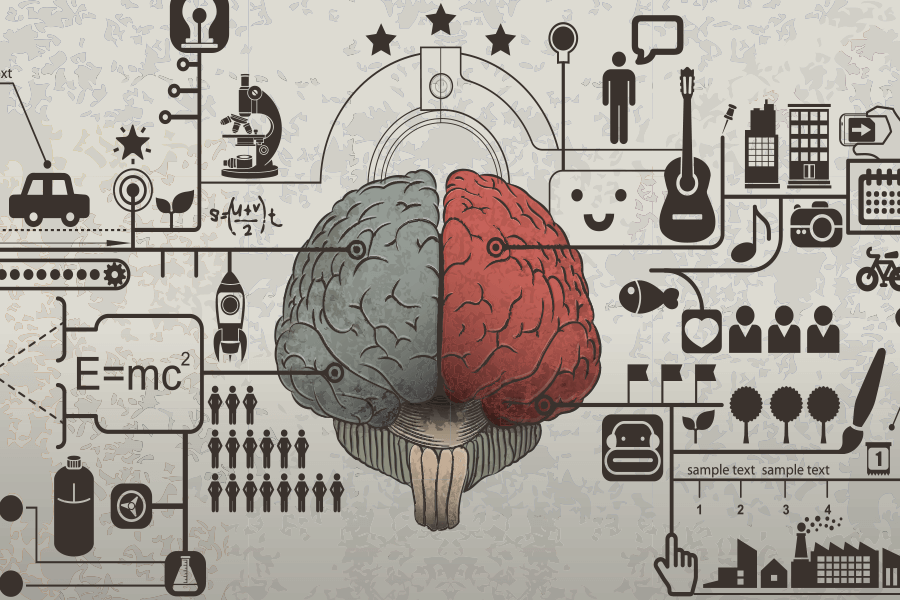 Scientific map of the brain