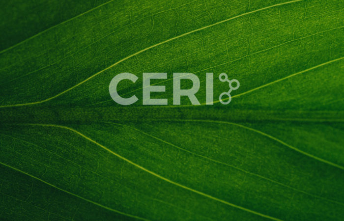 The CERI logo superimposed on an extreme close up of leaf