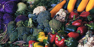 A wide range of vegetables piled together