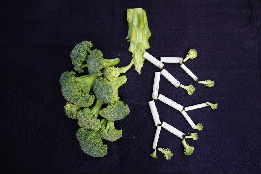 Broccoli arranged to look like human lungs, but one side is turning into used cigarette butts