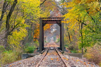Looking down a long straight train track in a forest