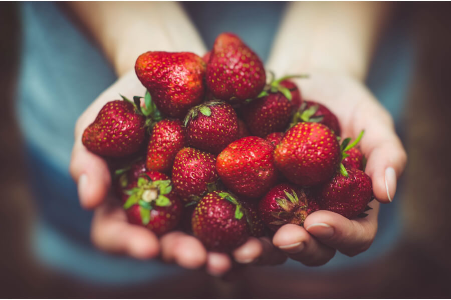 A handful of ripe strawberries
