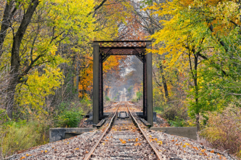 Train tracks into a tunnel of trees