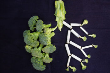 Broccoli in the shape of lungs