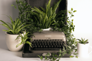 Pot plants in typewriter