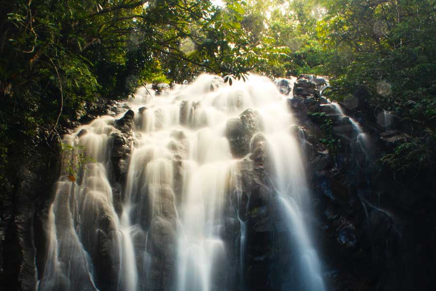 Waterfall in a rainforest in Cairns, Queensland, Australia