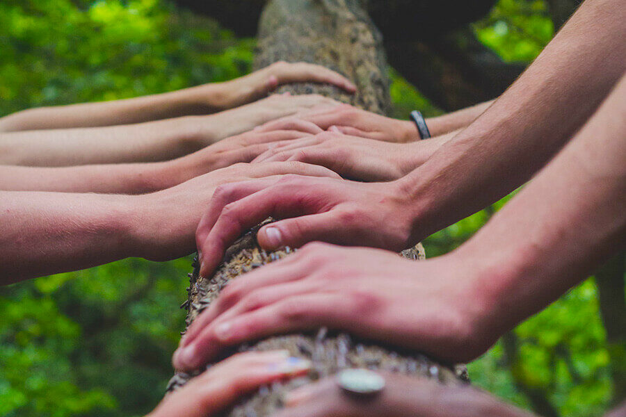 Many pairs of hands resting on a log. Photo by shane rounce on Unsplash.
