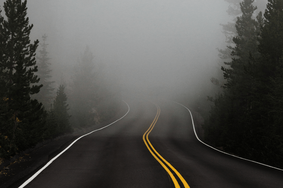 Road leading into foggy forest