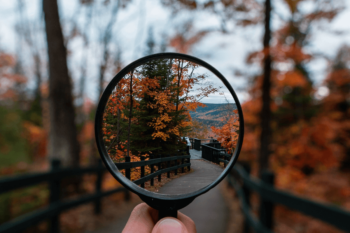 View of autumn trees through a magnifying glass