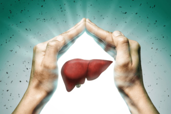 Hands above image of a liver