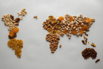 Food map with fruit and nuts in shape of continents